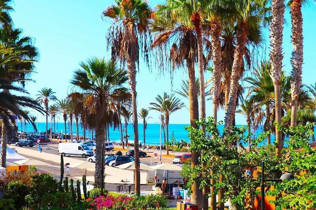 Apartment Parque Santiago II 194 By Tenerife Rental & Sales Arona